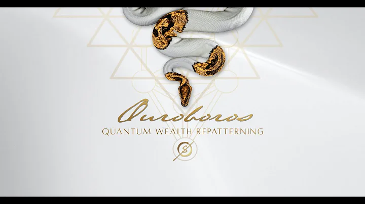 Quantum Conversations: The Embodiment of Wealth