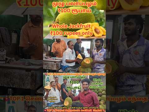 💥💯 Panruti Jackfruit low price | Chennai Koyambedu market #jackfruit #fruit #shorts #farmer #viral