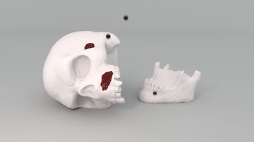 Learn Autodesk Bifrost