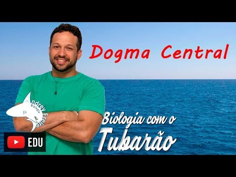 Vídeo: Qual é o dogma central da síntese de proteínas?