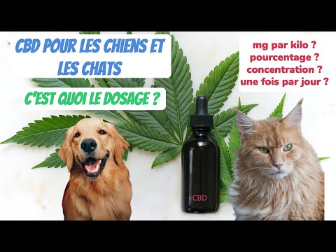 Vidéo: Qu'est-ce que le dosage chez les animaux ?