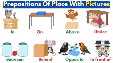 Preposition: Prepositions Of Place In English |Basic Prepositions With Pictures in English Grammar