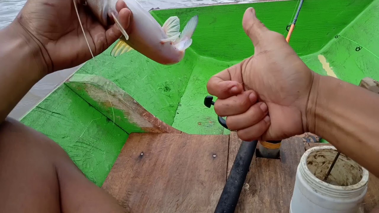 Mancing baung ll dipaksa pulang sama si Awan hitam😁