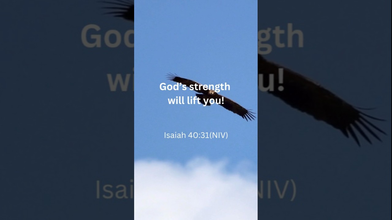 Renew Your Strength with God     
