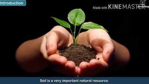 STD. VII . Unit. 6. For a pollution free nature. 11/01/2021