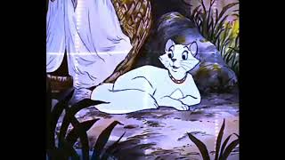 Animash What Does The Fox Say