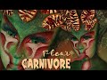 Fleur Carnivore | HALLOWEEN 2022