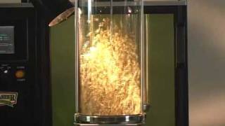 Famous Java Master Retail Roaster Wealth
