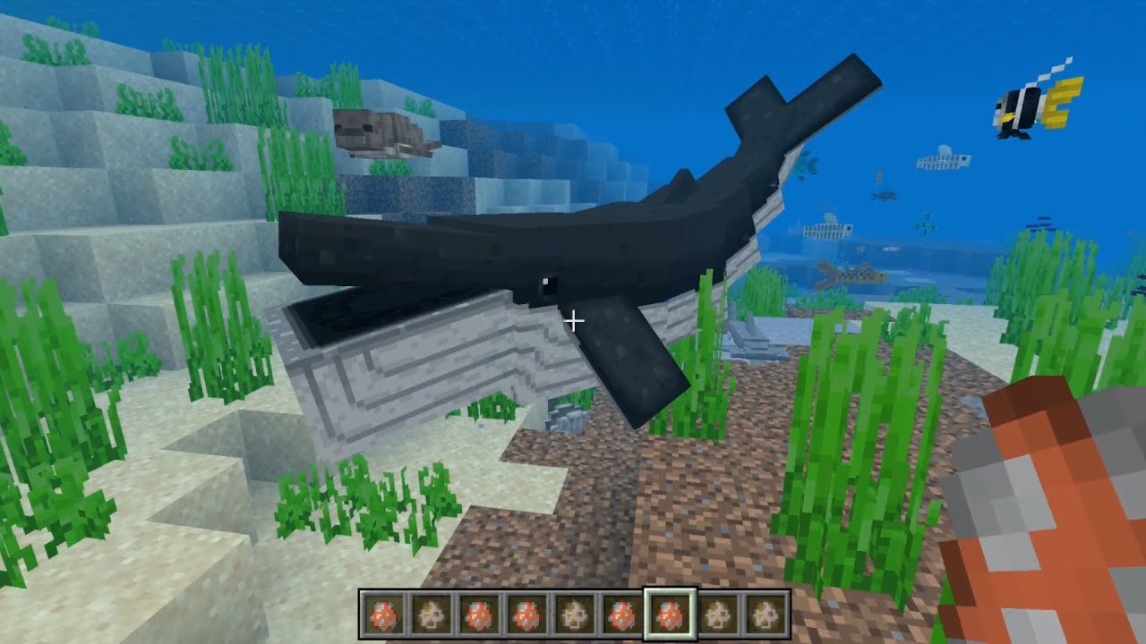 Ocean Expansion Add-on 3.0 in Minecraft PE/BEDROCK | Part 2 - YouTube