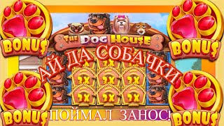 :    THE DOG HOUSE / !
