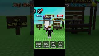 Rb Racc Goodsize For?