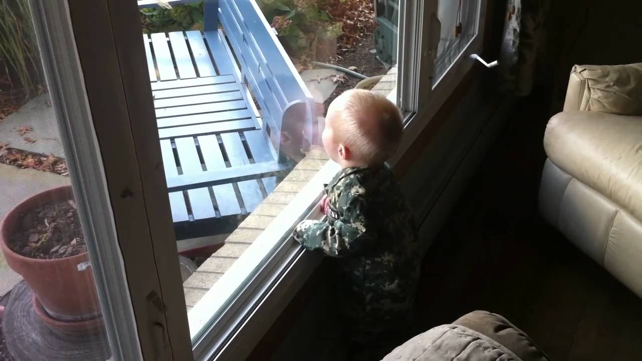 Window Licker YouTube