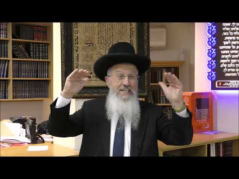 הרב הגאון אברהם יוסף שליט"א איזה כיף היה לנו לולי הטעות של המרגלים פרשת שלח תשפ"ג