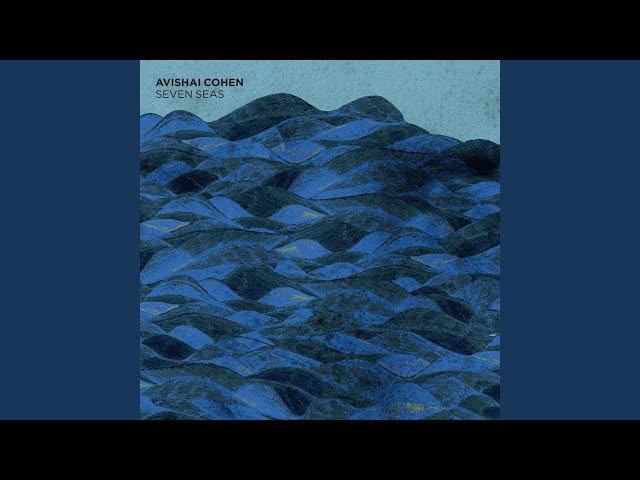 AVISHAI COHEN - About A Tree