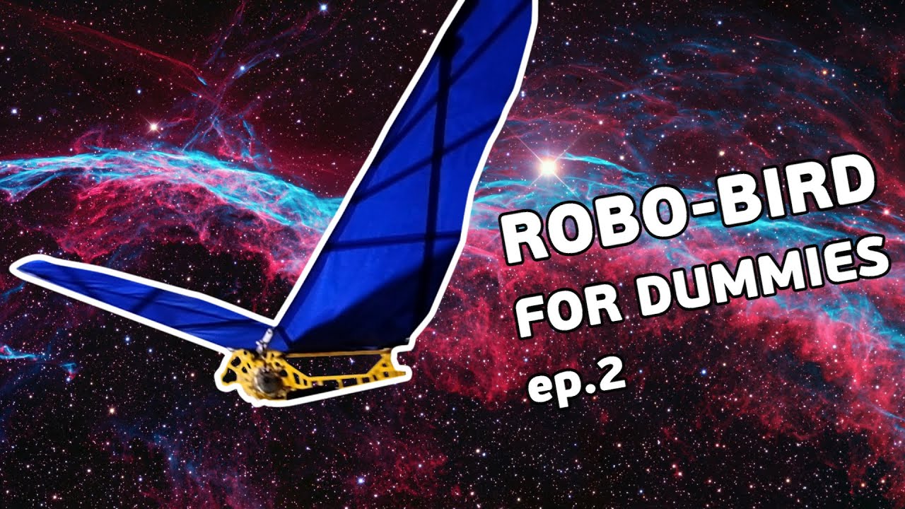 DIY Ornithopter: wings and operability check - YouTube