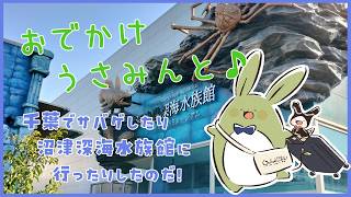 【お雑談】おでかけうさみんと♪～千葉と沼津でサバゲしたり深海水族館いったり～【Vtuber】