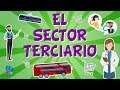 EL SECTOR TERCIARIO. El trabajo y su clasificación  | Vídeos Educativos para niños