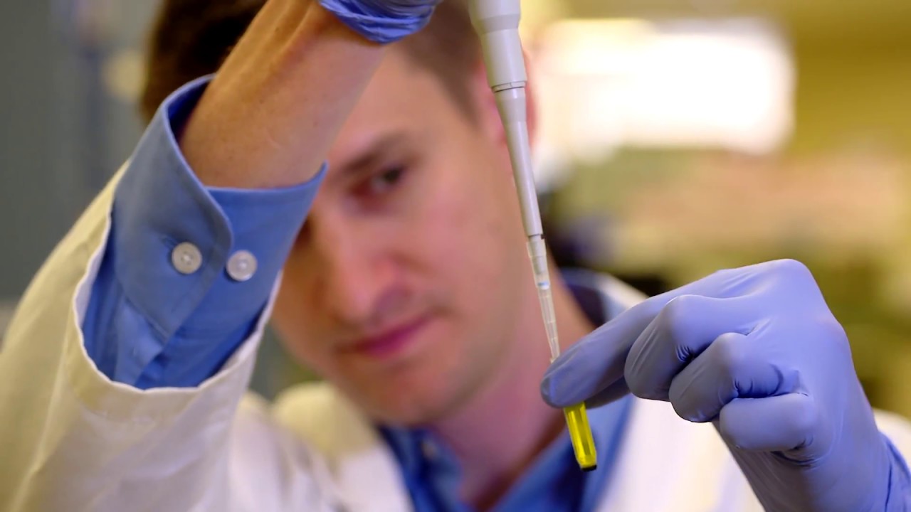 Working at Johns Hopkins All Children’s Hospital YouTube