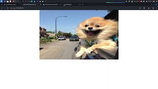 Giddy | HTB | LiveWalkthrough