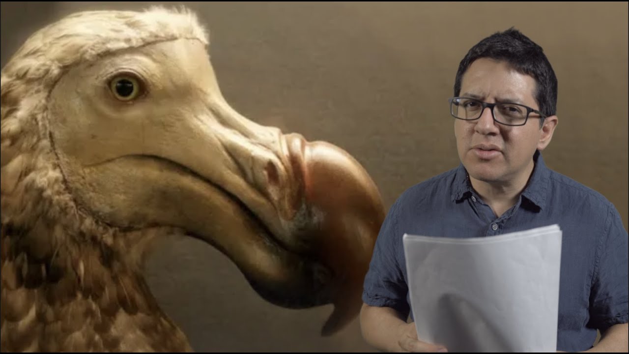 Empresa Quiere Revivir al Dodo