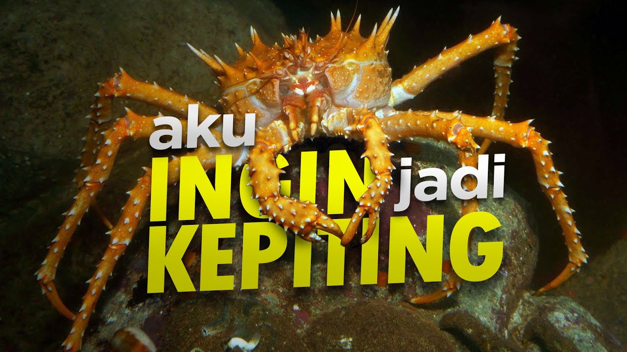 Tidak Semua Kepiting Adalah Kepiting! #AlamSemenit