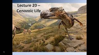 Lecture 20 – Cenozoic Life