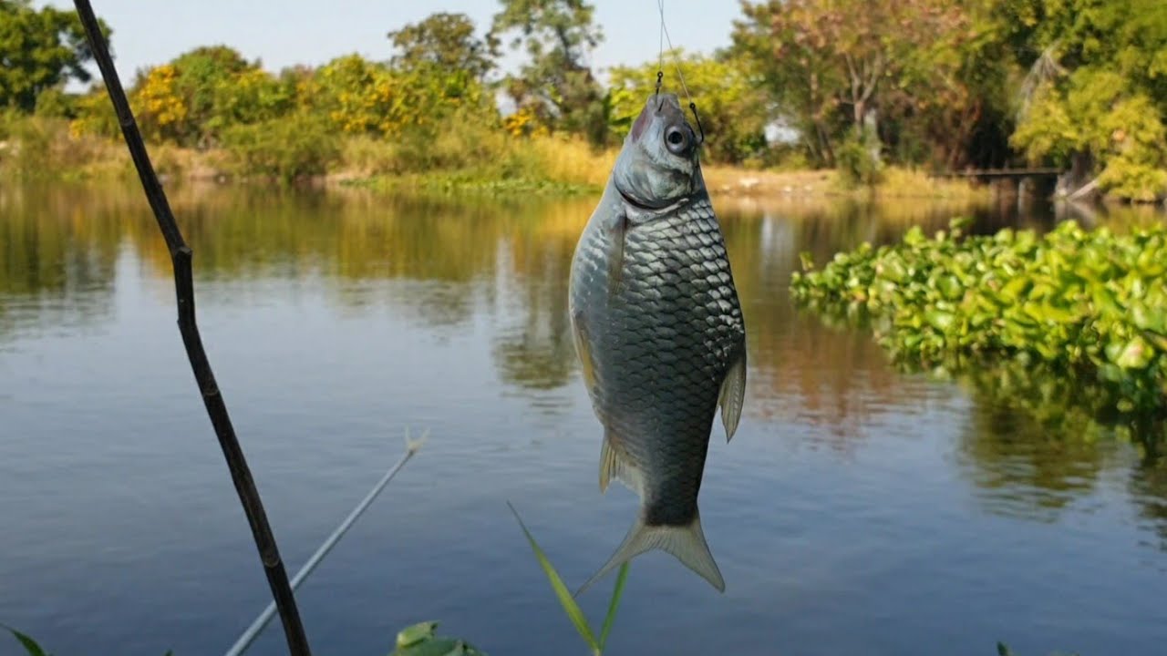 Ep42 หมายเก่าคลองใหม่บางปู‼️