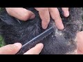 ASMR Scalp Scratching for Sleep and Relaxing Care #897