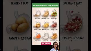 Hangi Besin Midede Daha Uzun Kalır?