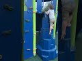 Will He Make It?