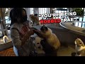 Valkyrae gets ROBBED by Cats in Japan