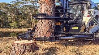Incredible Big Tree Harvest Excavator Cutting Equipment, Fastest Stump Grinding Tree Removal Machine