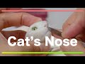 羊毛フェルトとワックスで作る猫の鼻/Cat’s Nose
