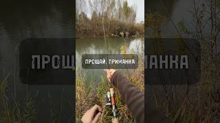 Приманка, которую забрала река #рыбалка #зацеп #обидно