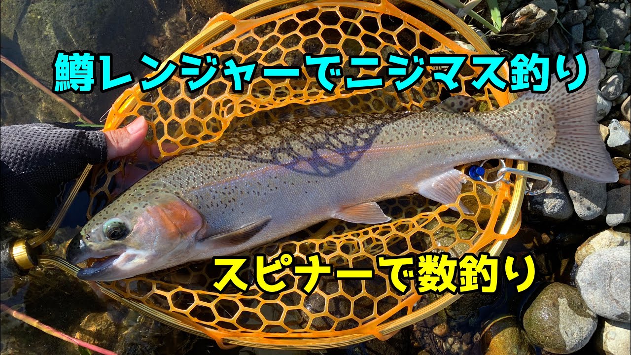 渓流ルアー 鱒レンジャーでニジマス釣り スピナーとスプーンで数釣り Youtube