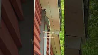 #деревня #birds #поселок #строительство #стройка #ремонт #птицы #ласточки #природа