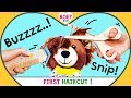 FIRST HAIRCUT! | Getting a haircut for Toddlers | Going to the Hairdresser | Boy/Girl | BOEY Bear