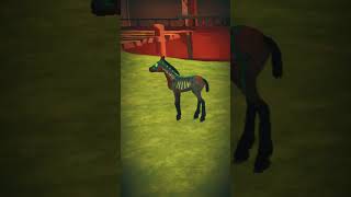 Undead Cross Yes I Know It Isnt Halloween But I Just Had The Idea