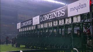 2014年ドバイシーマクラシック　ジェンティルドンナ