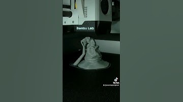 Harry Potter Sorting Hat#harrypotter #sort #hat #hogwarts #wizard #timelapse #3dprinting #fyp #fyp