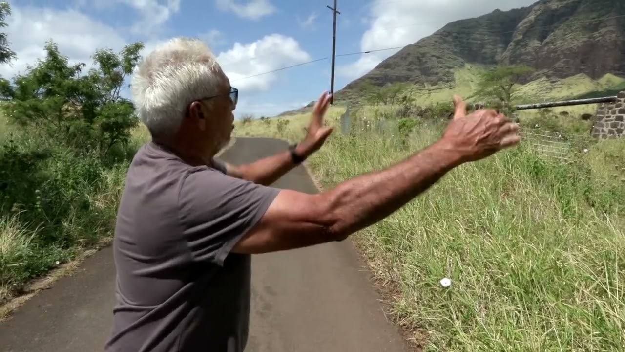 Reducing Wildfire Risk on Kaala Farm