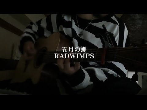 「弾き語り」RADWIMP/五月の蝿