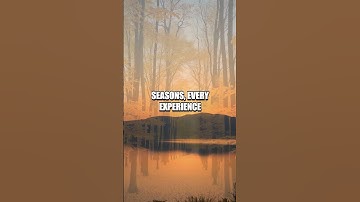 Embracing Impermanence: The Gift of Change