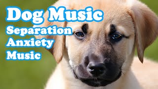 listen to this music to your dog, Relaxing Dog Music, Deep sleep Music for dogs
