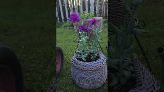 СЕЗОН ЭУСТОМ ОТКРЫТ