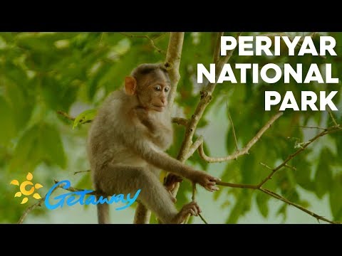 Video: Taman Negara Periyar: Panduan Lengkap