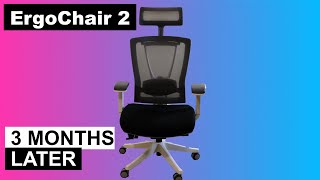 ErgoChair 2 ft Herman Miller Aeron - 3 Months Later