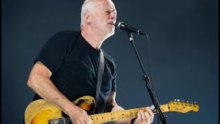 David Gilmour -  Face of stone