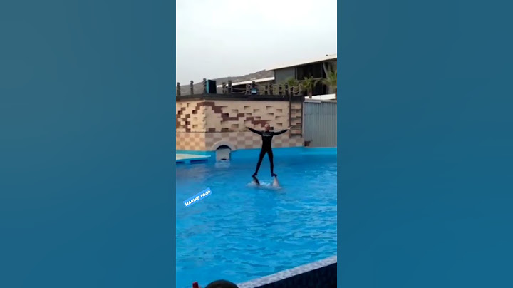 Agadir dolphin world 🥰