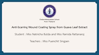 Anti-Scarring Wound Coating Spray from Guava Leaf Extract Chalermkwansatree School From Thailand